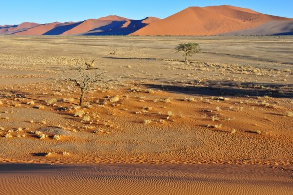 Sandstrukturen und Dünen, Sossusvlei, Namibia