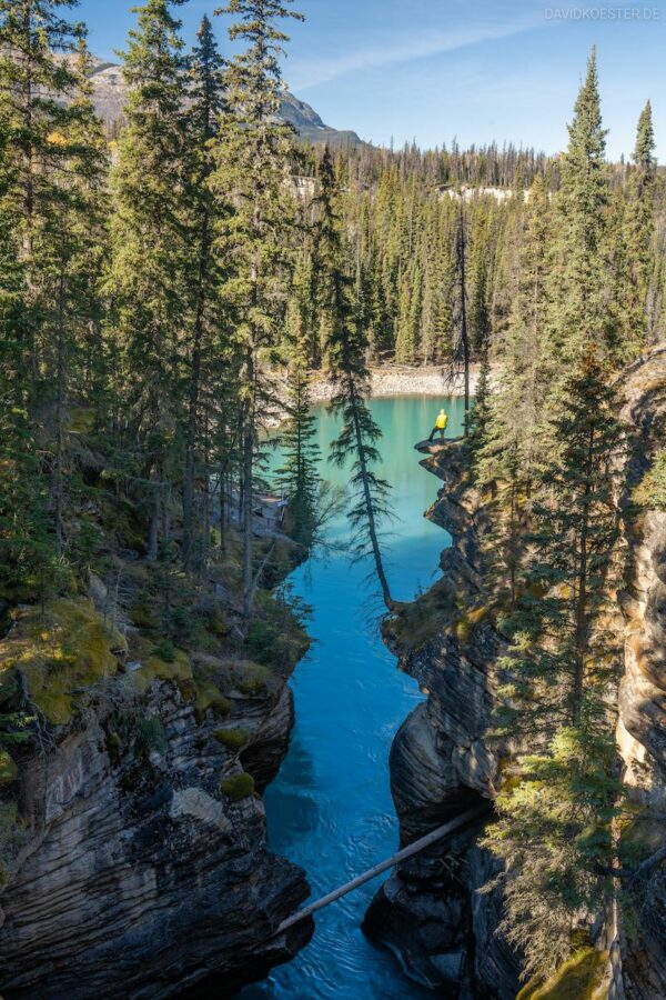 Kanada - Athabasca Falls, Jasper NP