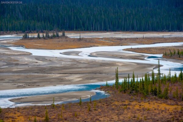 Kanada - Athabasca River, Jasper NP