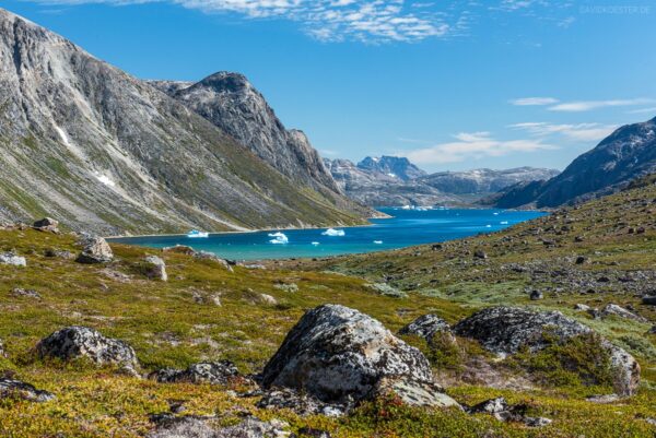 Grönland - Tundralandschaft und Fjord mit Eisbergen