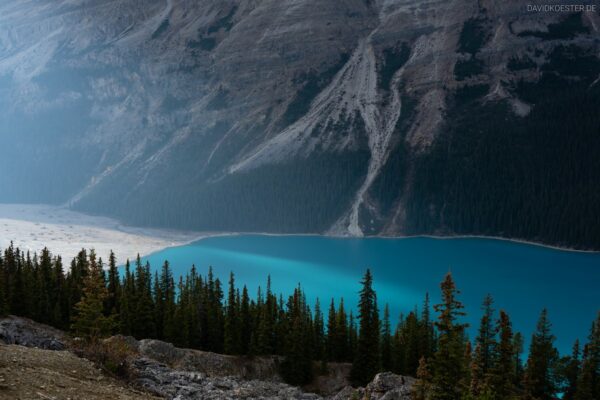 Kanada - Peyto Lake, Jasper NP