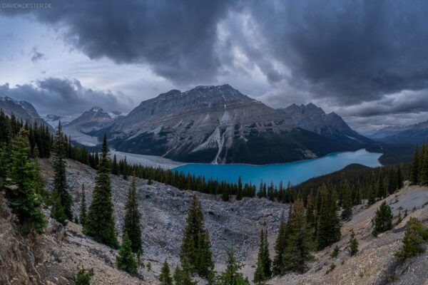 Kanada - Peyto Lake, Jasper NP